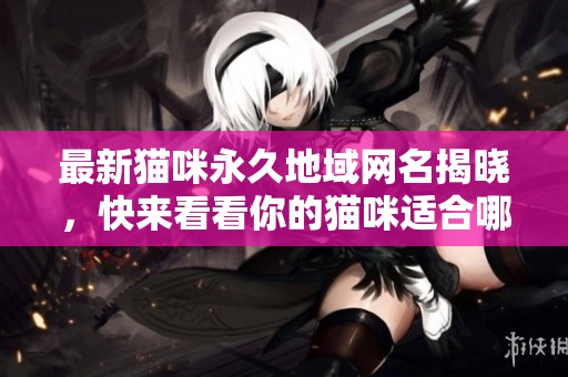 最新猫咪永久地域网名揭晓，快来看看你的猫咪适合哪个吧