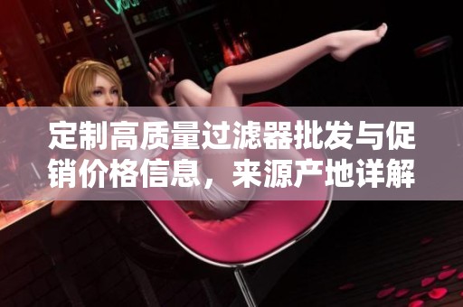 定制高质量过滤器批发与促销价格信息，来源产地详解