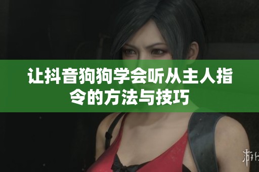 让抖音狗狗学会听从主人指令的方法与技巧