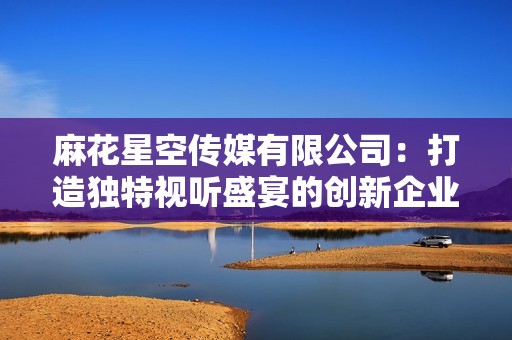 麻花星空传媒有限公司：打造独特视听盛宴的创新企业