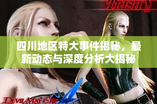四川地区特大事件揭秘，最新动态与深度分析大揭秘