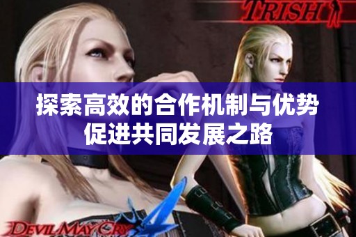 探索高效的合作机制与优势促进共同发展之路