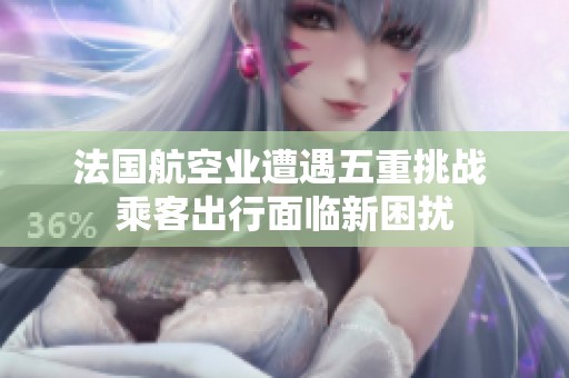 法国航空业遭遇五重挑战 乘客出行面临新困扰