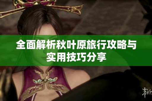 全面解析秋叶原旅行攻略与实用技巧分享