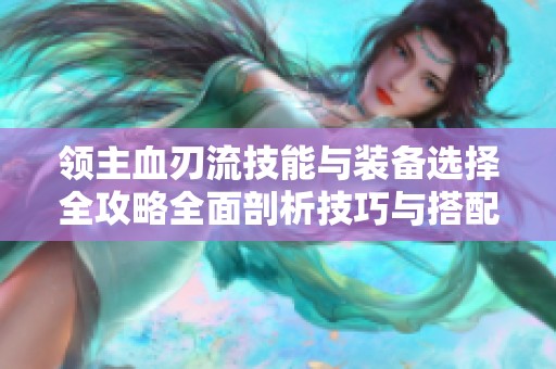 领主血刃流技能与装备选择全攻略全面剖析技巧与搭配建议