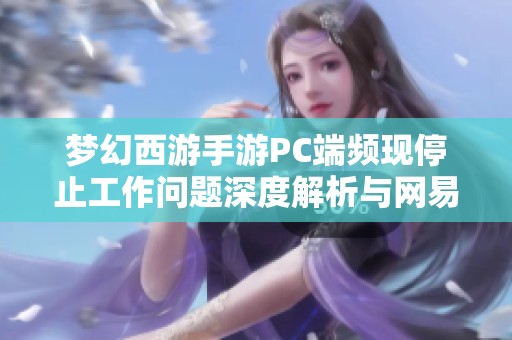 梦幻西游手游PC端频现停止工作问题深度解析与网易应对策略