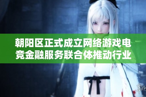 朝阳区正式成立网络游戏电竞金融服务联合体推动行业发展