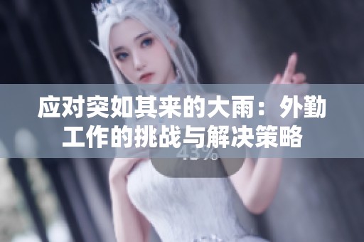 应对突如其来的大雨：外勤工作的挑战与解决策略