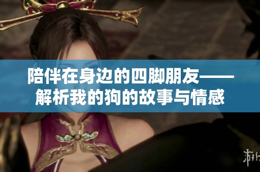 陪伴在身边的四脚朋友——解析我的狗的故事与情感