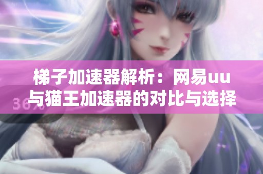 梯子加速器解析：网易uu与猫王加速器的对比与选择建议