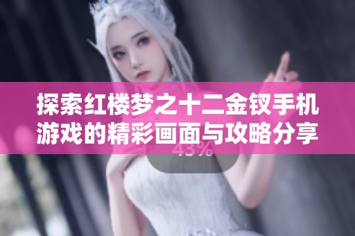 探索红楼梦之十二金钗手机游戏的精彩画面与攻略分享