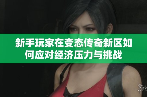 新手玩家在变态传奇新区如何应对经济压力与挑战