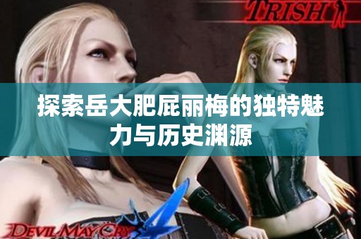 探索岳大肥屁丽梅的独特魅力与历史渊源
