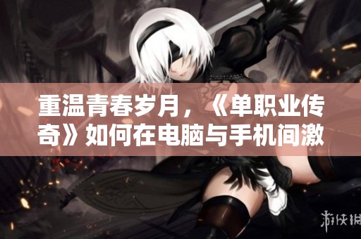 重温青春岁月，《单职业传奇》如何在电脑与手机间激发热血情怀