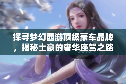 探寻梦幻西游顶级豪车品牌，揭秘土豪的奢华座驾之路