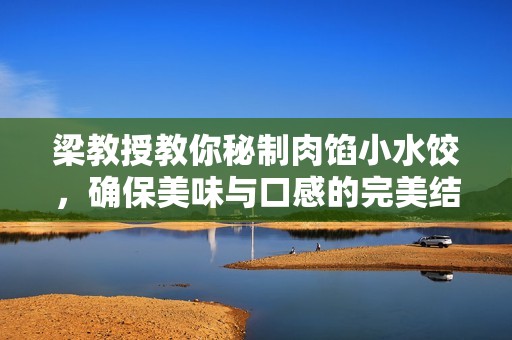 梁教授教你秘制肉馅小水饺，确保美味与口感的完美结合