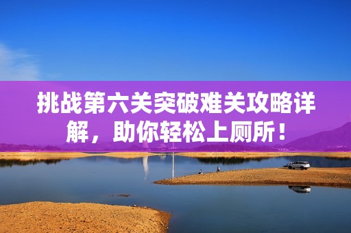 挑战第六关突破难关攻略详解，助你轻松上厕所！