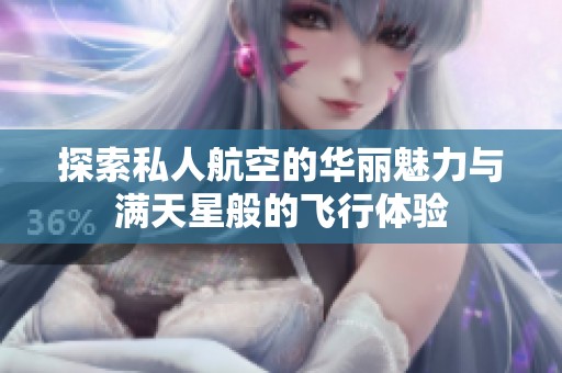 探索私人航空的华丽魅力与满天星般的飞行体验