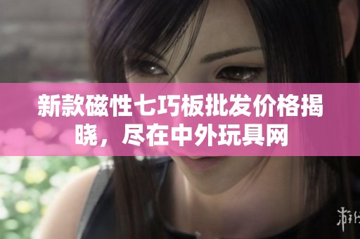 新款磁性七巧板批发价格揭晓，尽在中外玩具网