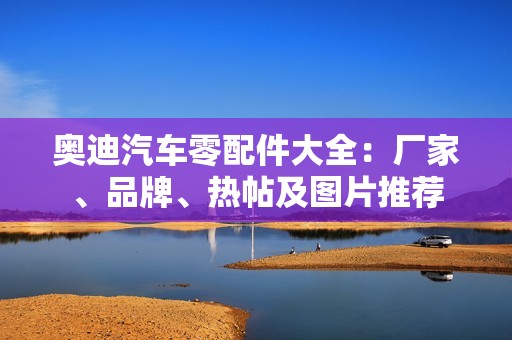 奥迪汽车零配件大全：厂家、品牌、热帖及图片推荐
