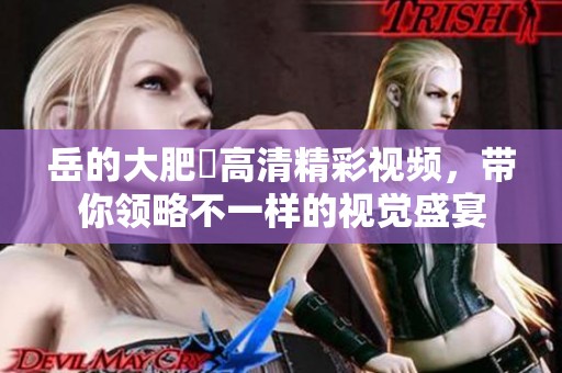 岳的大肥坹高清精彩视频，带你领略不一样的视觉盛宴