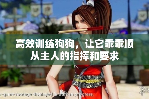 高效训练狗狗，让它乖乖顺从主人的指挥和要求