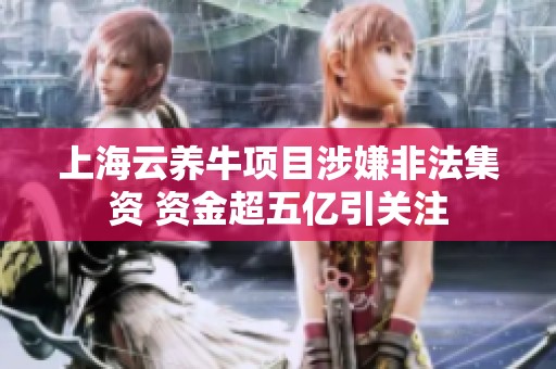 上海云养牛项目涉嫌非法集资 资金超五亿引关注