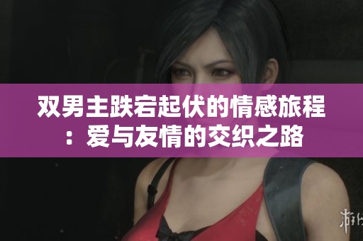 双男主跌宕起伏的情感旅程：爱与友情的交织之路