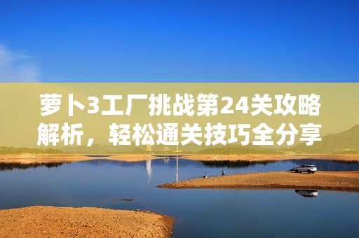 萝卜3工厂挑战第24关攻略解析，轻松通关技巧全分享