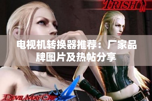 电视机转换器推荐：厂家品牌图片及热帖分享