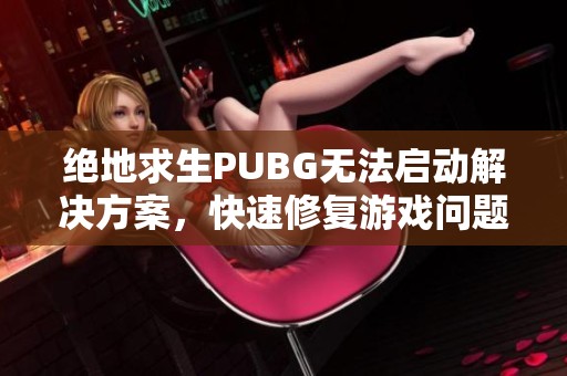 绝地求生PUBG无法启动解决方案，快速修复游戏问题的方法