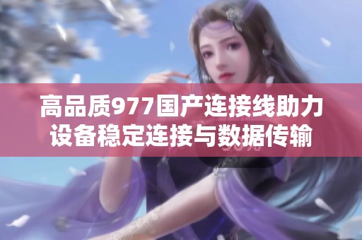 高品质977国产连接线助力设备稳定连接与数据传输