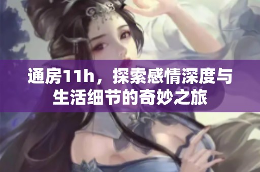 通房11h，探索感情深度与生活细节的奇妙之旅