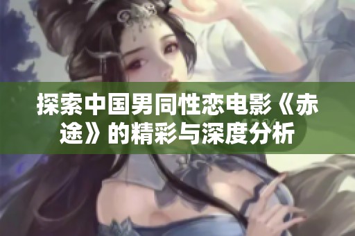 探索中国男同性恋电影《赤途》的精彩与深度分析