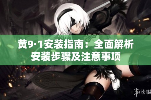 黄9·1安装指南：全面解析安装步骤及注意事项