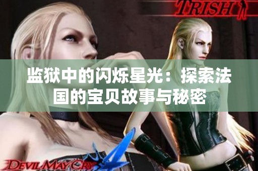 监狱中的闪烁星光：探索法国的宝贝故事与秘密
