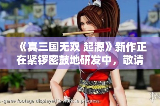 《真三国无双 起源》新作正在紧锣密鼓地研发中，敬请期待!