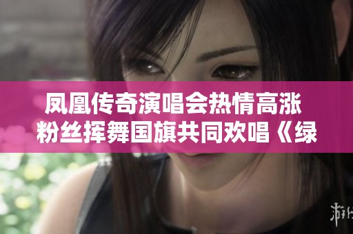 凤凰传奇演唱会热情高涨 粉丝挥舞国旗共同欢唱《绿旋风》