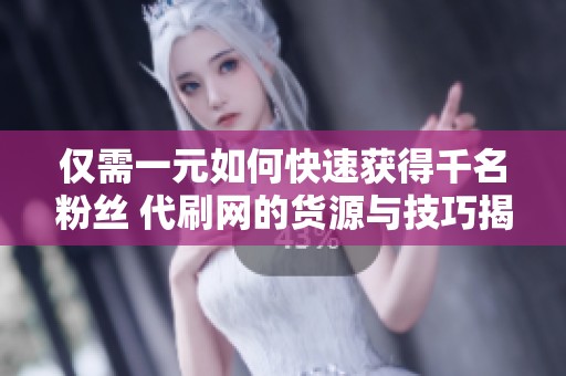仅需一元如何快速获得千名粉丝 代刷网的货源与技巧揭秘