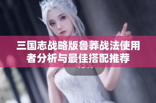 三国志战略版鲁莽战法使用者分析与最佳搭配推荐