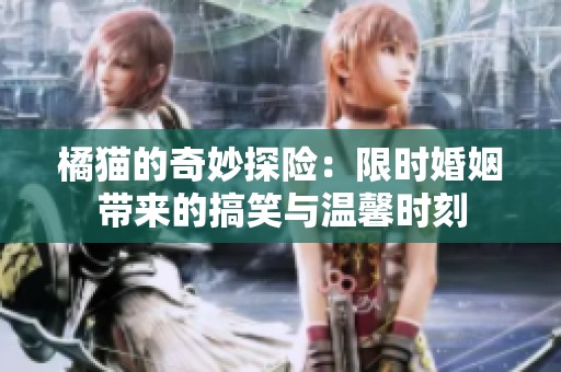 橘猫的奇妙探险：限时婚姻带来的搞笑与温馨时刻