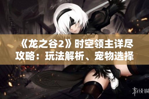 《龙之谷2》时空领主详尽攻略：玩法解析、宠物选择与技能加点技巧