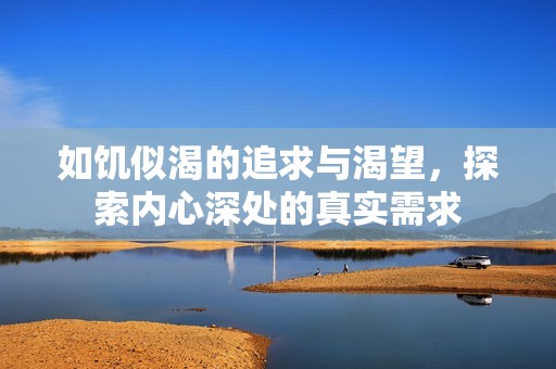 如饥似渴的追求与渴望，探索内心深处的真实需求
