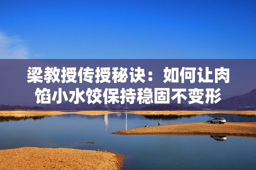 梁教授传授秘诀：如何让肉馅小水饺保持稳固不变形