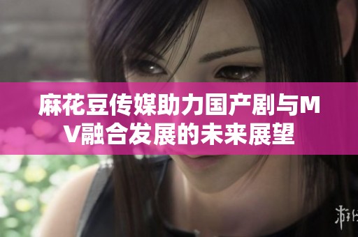麻花豆传媒助力国产剧与MV融合发展的未来展望