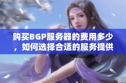 购买BGP服务器的费用多少，如何选择合适的服务提供商