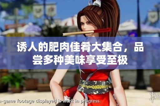 诱人的肥肉佳肴大集合，品尝多种美味享受至极