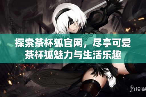 探索茶杯狐官网，尽享可爱茶杯狐魅力与生活乐趣