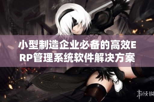 小型制造企业必备的高效ERP管理系统软件解决方案
