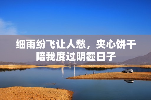 细雨纷飞让人愁，夹心饼干陪我度过阴霾日子